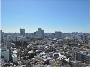 目黒駅 徒歩6分 16階の物件内観写真